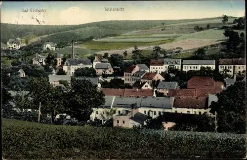 Ak Bad Gottleuba in Sachsen, Totalansicht