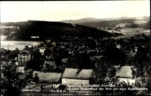 Ak Bad Brambach im Vogtland, Panorama mit dem Kapellenberg