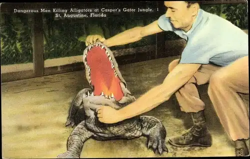 Ak Dangerous Man killing Alligators at Casper's Gator Jungle, Florida USA