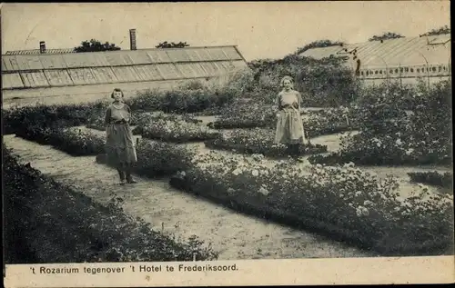 Ak Frederiksoord Drenthe, 't Rozarium tegenover 't Hotel