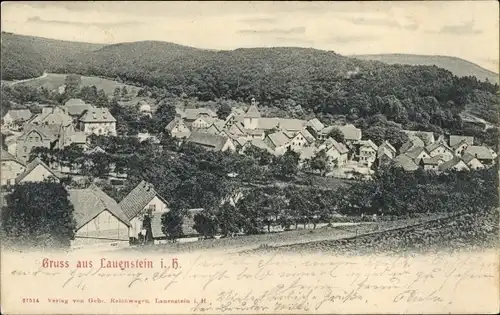 Ak Lauenstein Salzhemmendorf in Niedersachsen, Gesamtansicht