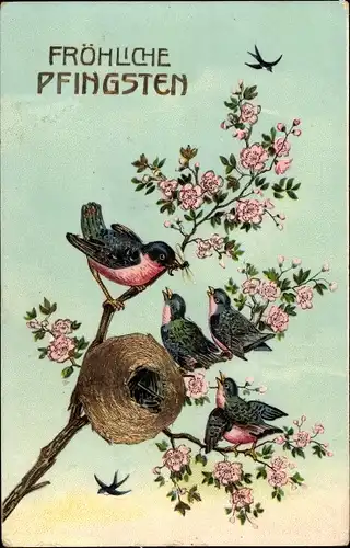 Präge Litho Glückwunsch Pfingsten, Vögel auf einem Blütenzweig, Vogelnest