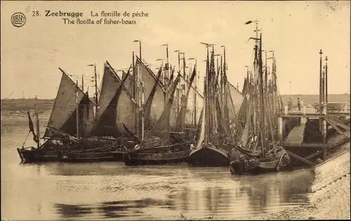 Ak Zeebrugge Westflandern, La flotille de peche
