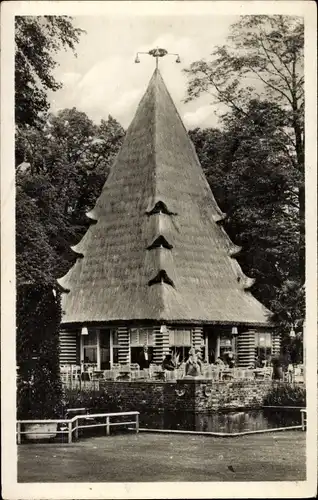 Ak Dresden, Jubiläums Gartenbauausstellung 1926, Palmenterrasse