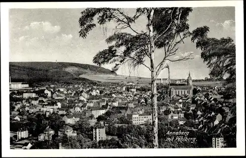 Ak Annaberg Buchholz im Erzgebirge, Panorama, Pöhlberg