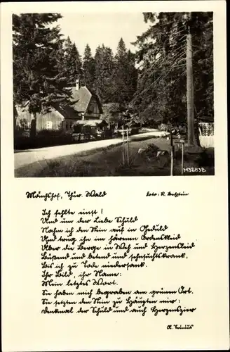 Ak Manebach Ilmenau in Thüringen, Mönchhof ,Teilansicht