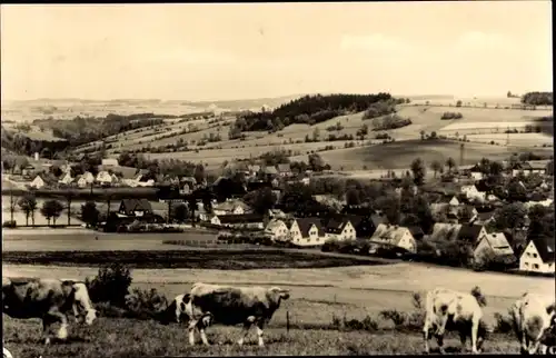 Ak Mildenau im Erzgebirge, Panorama