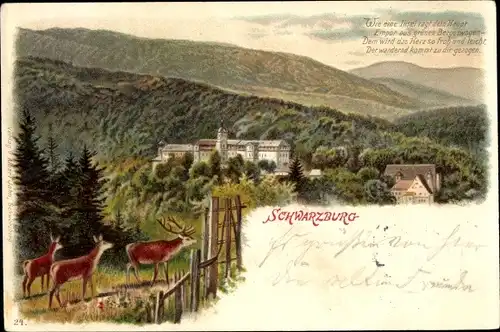 Litho Schwarzburg in Thüringen, Panorama, Hirsche