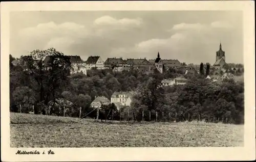 Ak Mittweida in Sachsen, Panorama