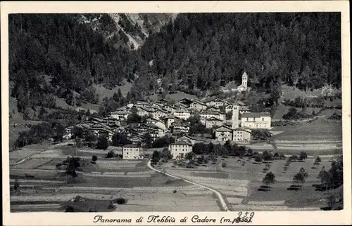 Ak Nebbiù Pieve di Cadore Veneto, Blick auf den Ort