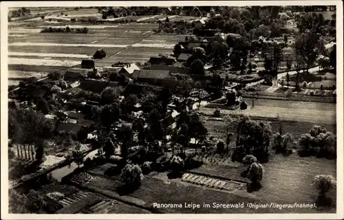 Ak Leipe Lübbenau im Spreewald, Fliegeraufnahme, Buchans Gasthaus
