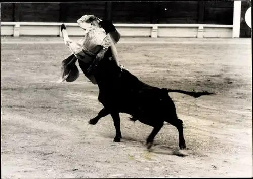 Foto Stierkampf, Picador vom Stier angegriffen