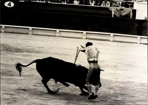 Foto Stierkampf, Picador, Stier, Stadion