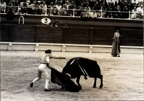 Foto Stierkampf, Picador, Stier, Stadion, Zuschauer