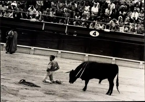 Foto Stierkampf, Picador kniet, Stier, Stadion, Zuschauer