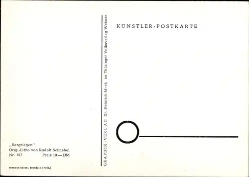 Künstler Ak Schnabel, R., Bergziegen, Jungtiere