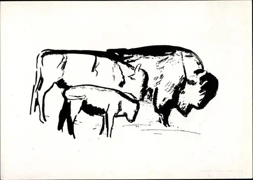 Künstler Ak Schnabel, R., Wisente