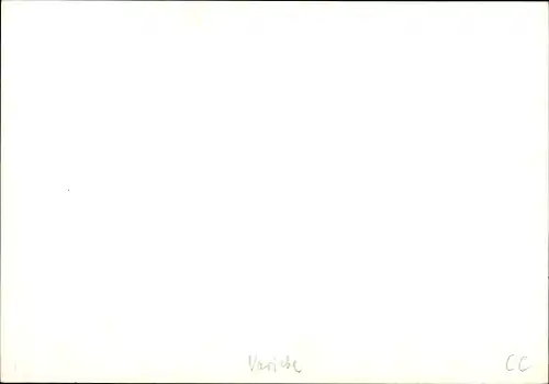 Foto Ak Zirkus, Akrobat, Seillaufen