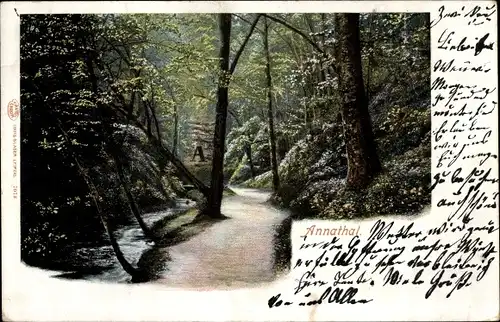 Ak Zwickau in Sachsen, Annathal