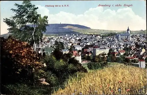 Ak Annaberg Buchholz im Erzgebirge, Pöhlberg, Panorama
