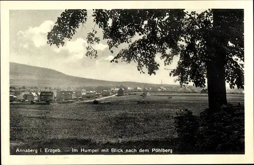 Ak Annaberg Buchholz im Erzgebirge, Im Humpel, Blick zum Pöhlberg