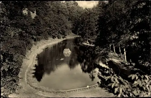 Ak Annaberg Buchholz im Erzgebirge, Waldschlößchenpark