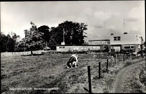 Ak Breedenbroek Gelderland, Bakkerskampstraat, Kuh