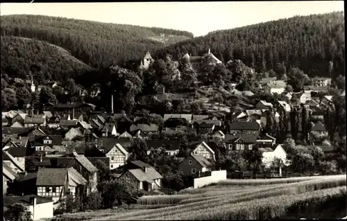 Ak Elgersburg in Thüringen, Gesamtansicht