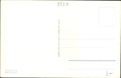 Ak Oelsnitz Vogtland, Gesamtansicht