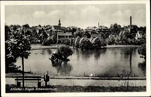 Ak Schlettau im Erzgebirge, Schwanenteich