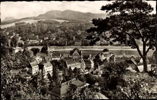 Ak Wehlen an der Elbe Sachsen, Ortsansicht mit Kirche und Elbe