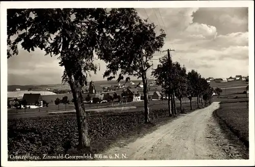 Ak Zinnwald Georgenfeld Altenberg im Erzgebirge, Ortsansicht, Landweg