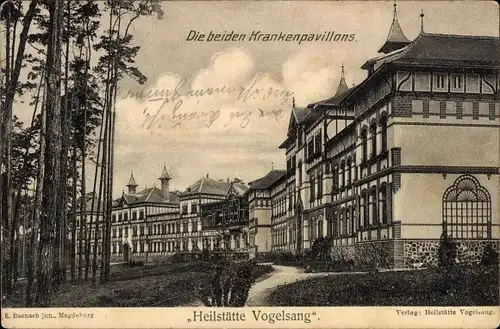 Ak Gommern Sachsen Anhalt, Heilstätte Vogelsang, Die beiden Krankenpavillons