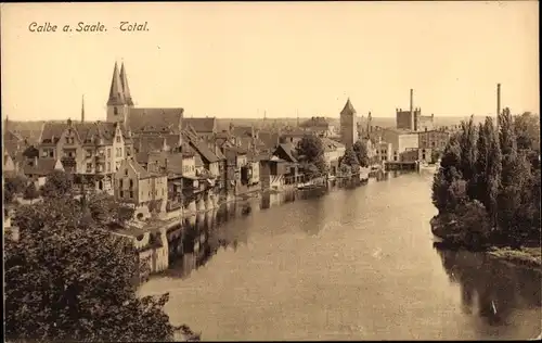 Ak Calbe an der Saale, Totalansicht