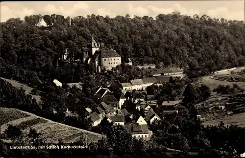 Ak Liebstadt Erzgebirge Sachsen, Schloss Kuckuckstein, Panorama
