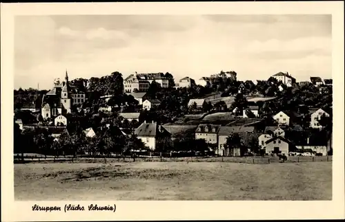 Ak Struppen Sächsische Schweiz, Kirche, Ortsansicht
