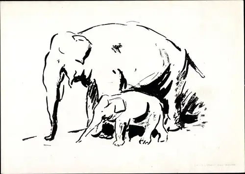 Künstler Ak Schnabel, R., Elefanten