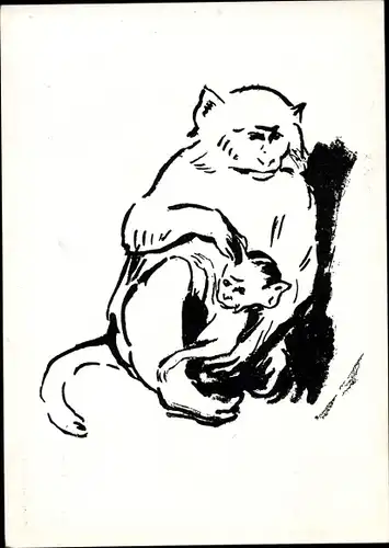Künstler Ak Schnabel, R., Affen, Jungtier