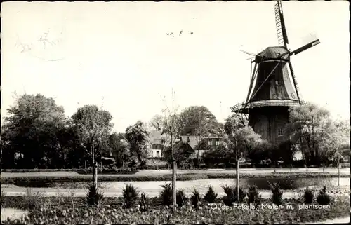 Ak Oude Pekela Groningen Niederlande, Molen met plantsoen