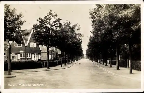 Ak Haren Groningen Niederlande, Middelhorsterweg