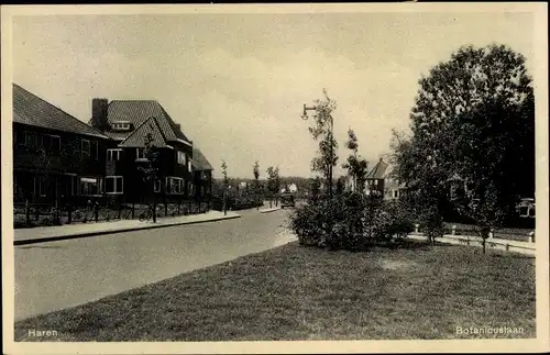 Ak Haren Groningen Niederlande, Botanicuslaan