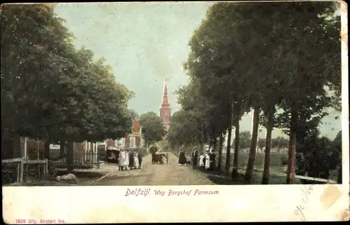 Ak Delfzijl Groningen, Weg Borgshof Farmsum