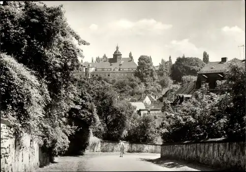 Ak Altenburg in Thüringen, Blick zum Magdalenenstift