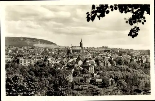 Ak Annaberg Buchholz im Erzgebirge, Gesamtansicht