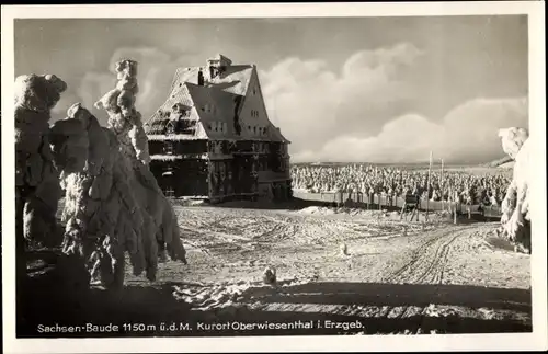 Ak Oberwiesenthal im Erzgebirge, Sachsen-Baude, Winter, Schnee