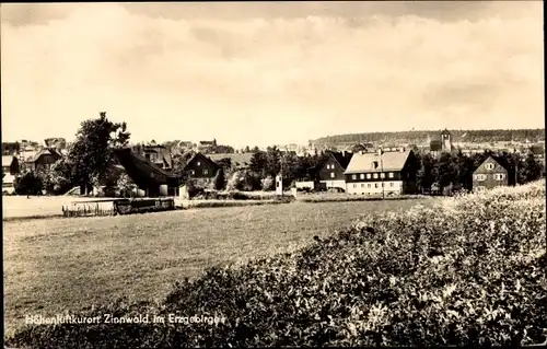 Ak Zinnwald Georgenfeld Altenberg im Erzgebirge, Ortsansicht