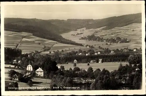 Ak Eubabrunn Erlbach im Vogtland, Blick nach Gopplasgrün