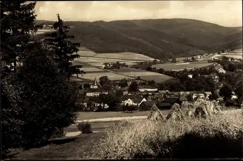 Ak Erlbach im Vogtland, Panorama