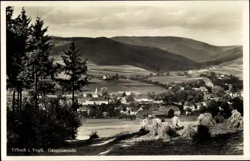 Ak Erlbach im Vogtland, Gesamtansicht, Felder, Heuhaufen