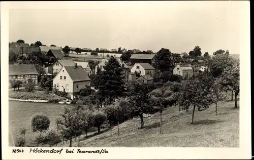 Ak Höckendorf Klingenberg im Osterzgebirge, Ortsansicht